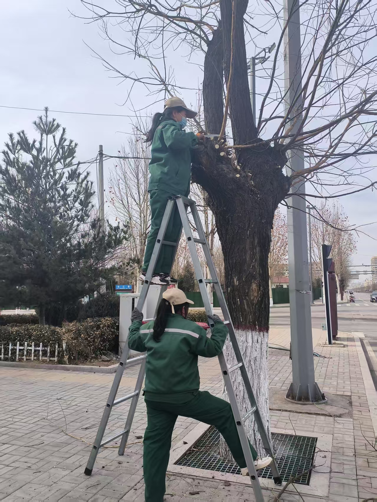 微信图片_20250313085731.jpg