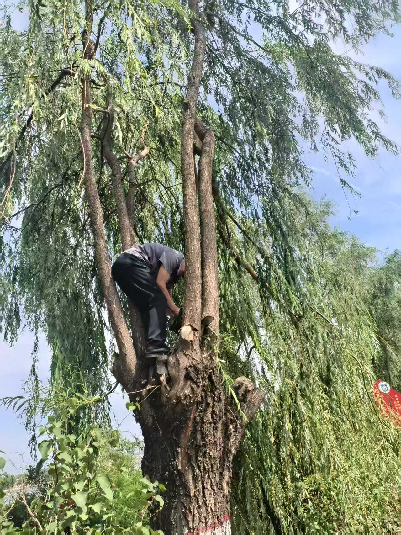 微信图片_20250618103226.jpg